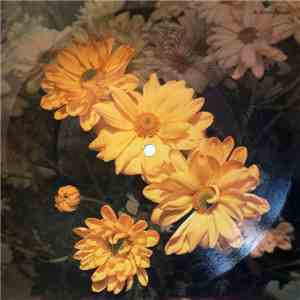 Barbra Streisand - Woman In Love download free
