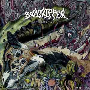 Bongripper - Terminal download free