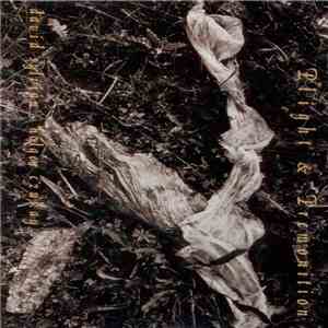 David Sylvian ● Holger Czukay - Plight & Premonition download free