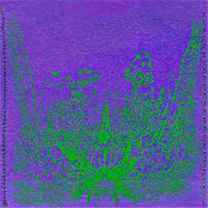 Feathers - Gnomeozoic Live download free