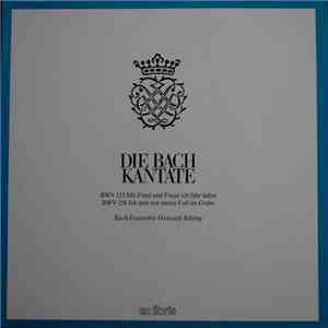 Johann Sebastian Bach, Bach-Ensemble, Helmuth Rilling, Bach-Collegium Stuttgart - Die Bach Kantate: BWV 125 - BWV 156 download free