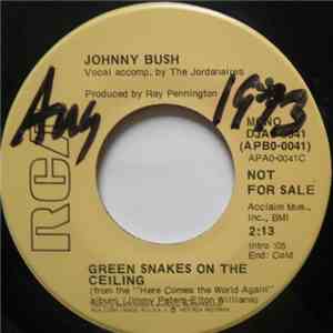 Johnny Bush - Green Snakes On The Ceiling / Drinkin' My Baby Right Out Of May Mind download free