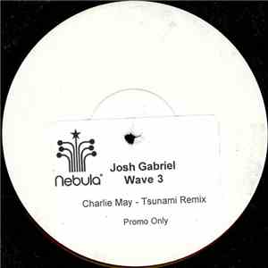 Josh Gabriel - Wave 3 (Charlie May Tsunami Remix) download free