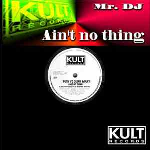 Mr. DJ  Feat. Bush & Quinn Mary - Ain't No Thing download free