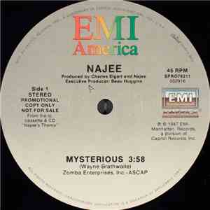 Najee - Mysterious download free