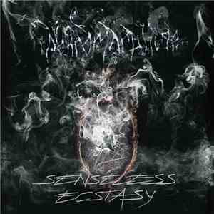 Nekromorphine - Senseless Ecstasy download free