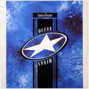 Ocean Wings - Loving In The Snow download free