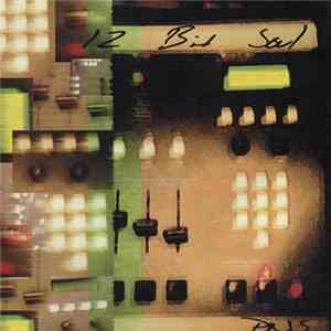 PNS - 12 Bit Soul download free