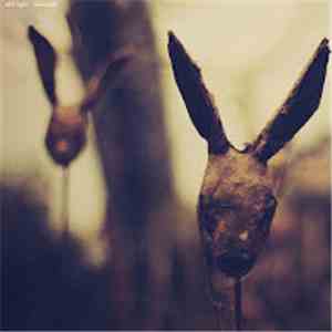 Still Light - Rosarium download free