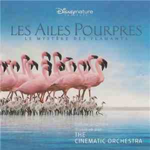The Cinematic Orchestra - Les Ailes Pourpres: Le Mystère Des Flamants download free