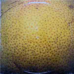 The Coctails - Peel download free