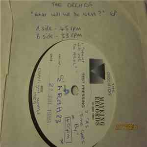 The Orchids  - What Will We Do Next download free