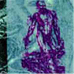 Various - Monochrome Meditator download free